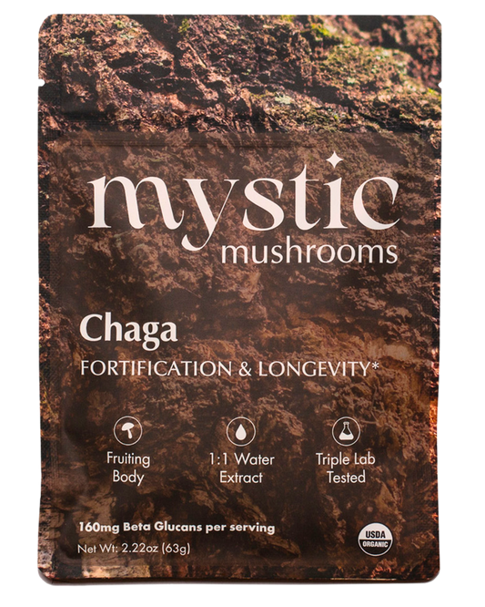 Chaga sveppir – náttúrulegt stuðningsefni fyrir ónæmiskerfið (Chaga mushrooms – natural support for the immune system)