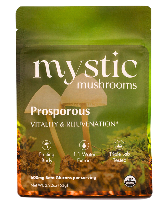 Upplifðu styrk og jafnvægi með adaptógenískum sveppaduft. Hágæða náttúruleg vara til að styðja við heilsu og lífskraft.