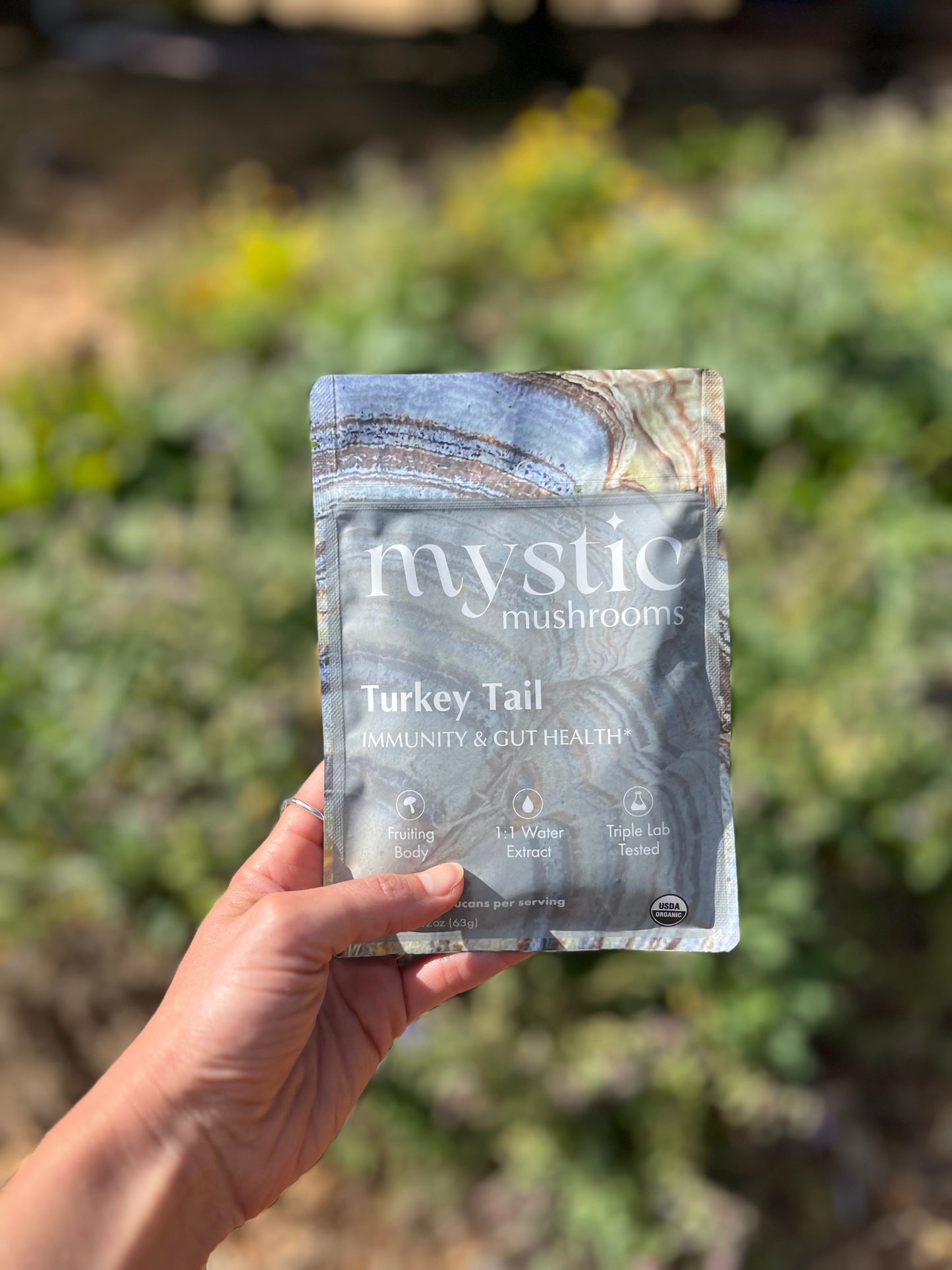 Turkey Tail sveppir duft