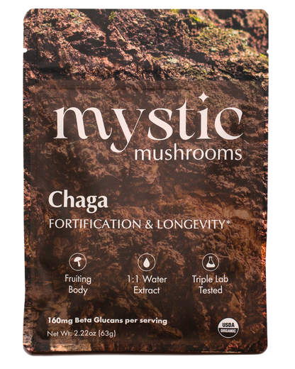 Chaga sveppir – náttúrulegt stuðningsefni fyrir ónæmiskerfið (Chaga mushrooms – natural support for the immune system)