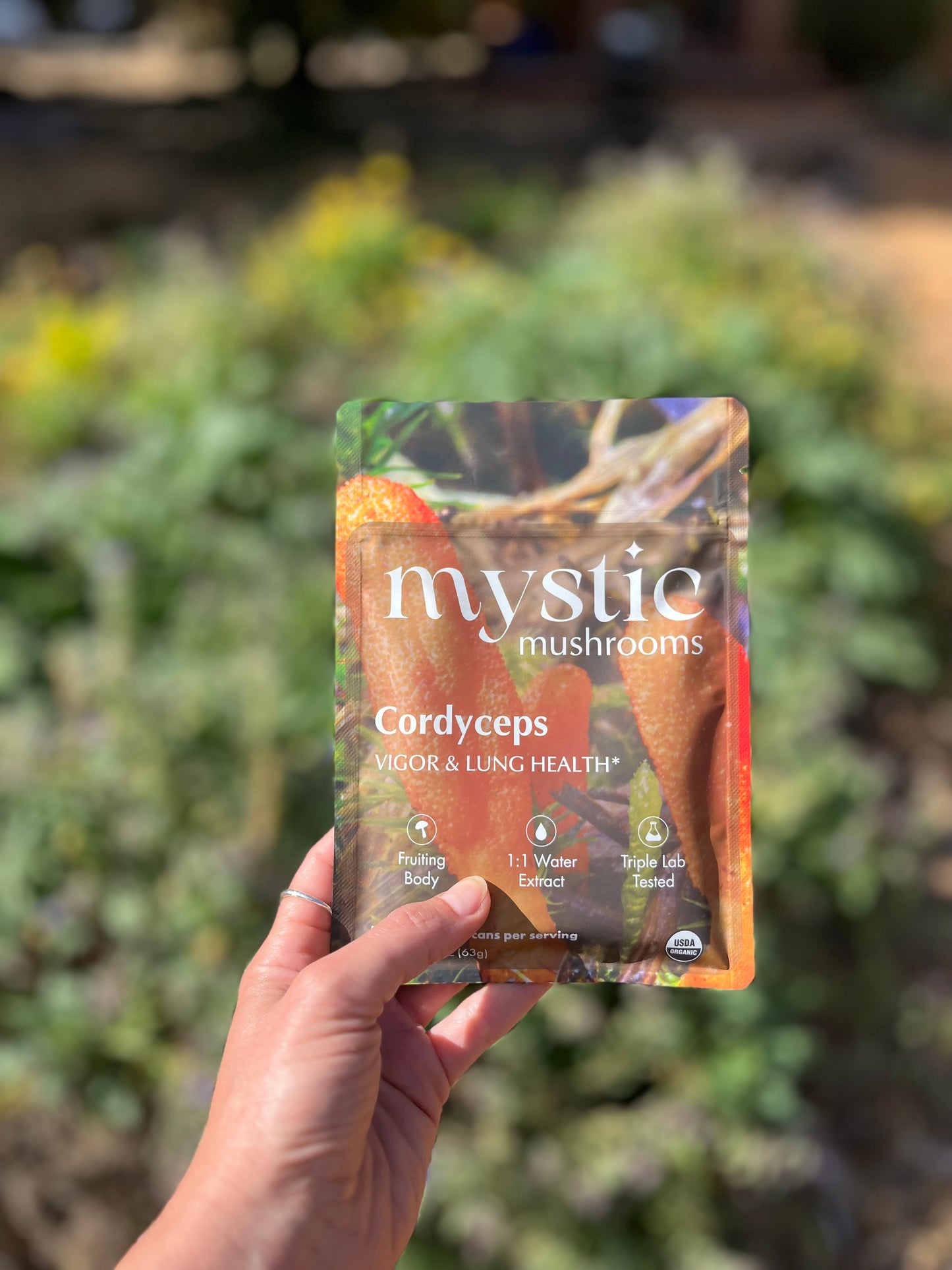 Cordyceps sveppir duft