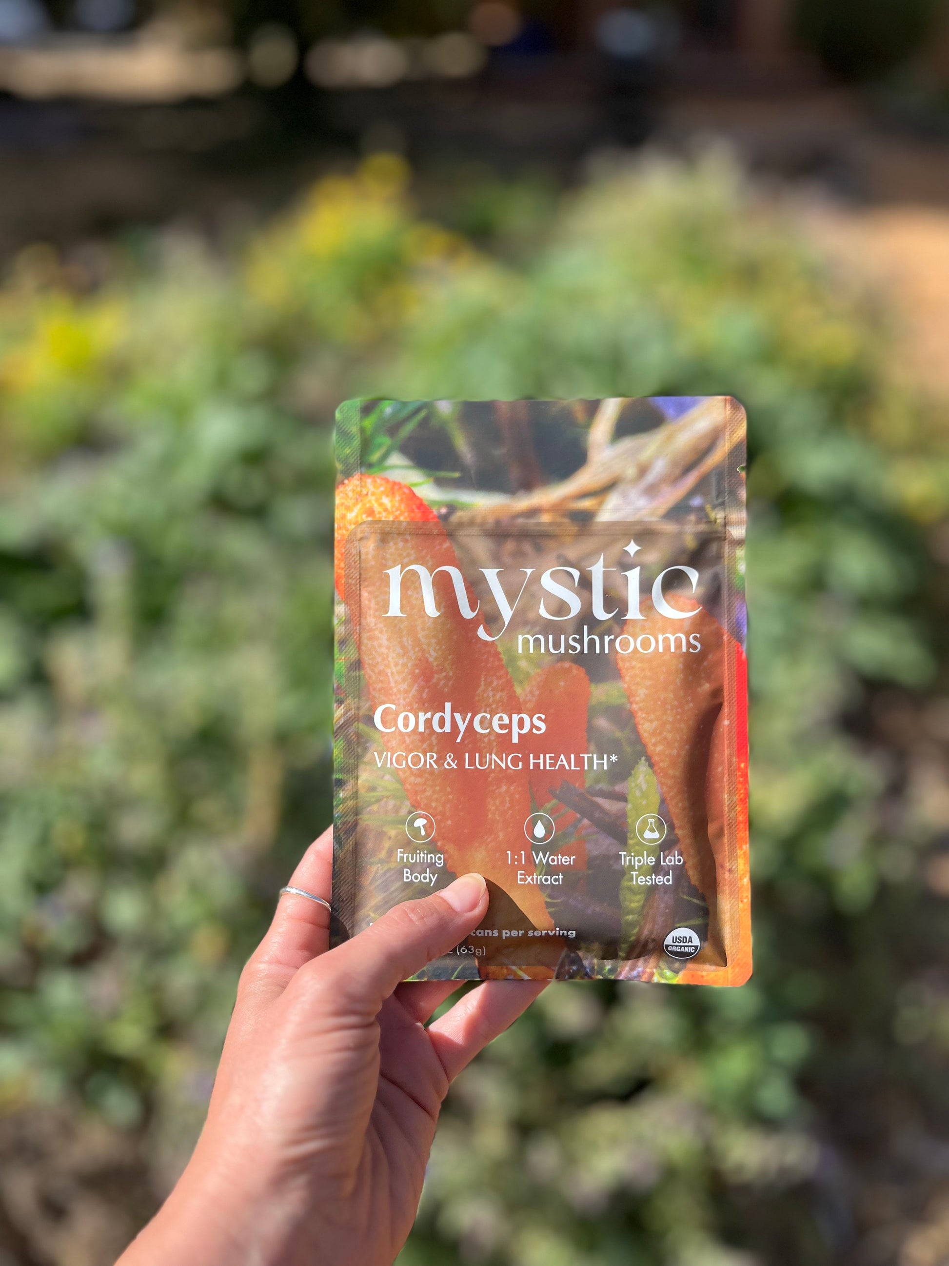 Cordyceps sveppir duft