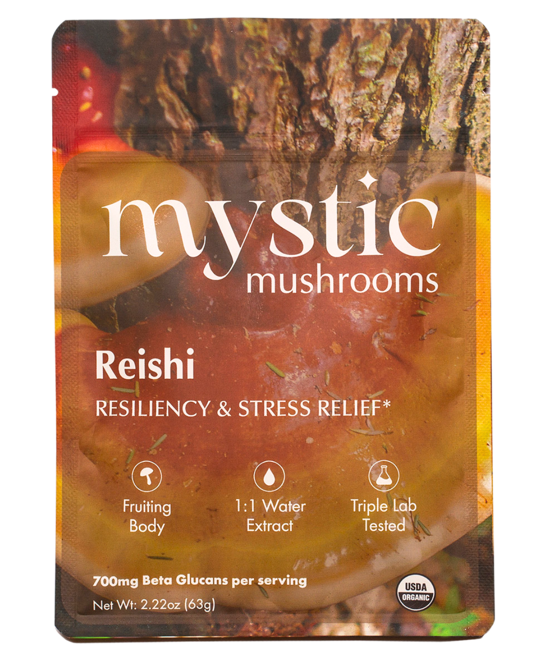 𓍊𓋼 Reishi sveppaduft 𓋼𓍊 Seigla & Streitulosun 63g