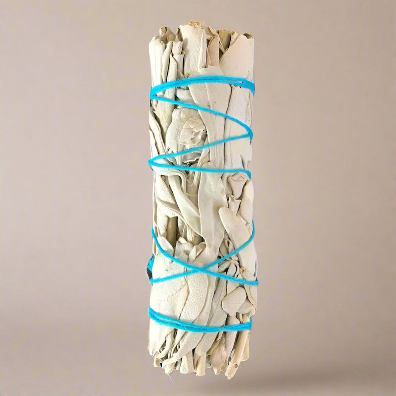 White Sage (Salvia) Smudge